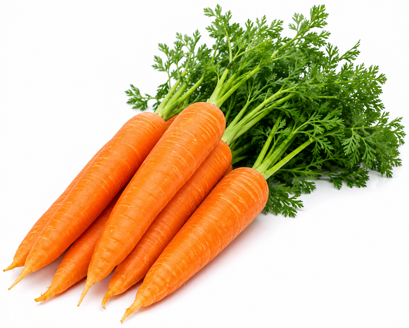Carrot