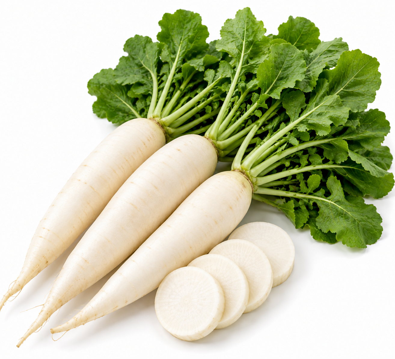 Radish